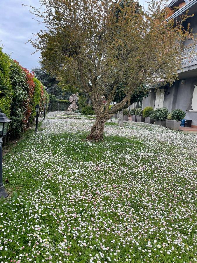 Magnolia Hotell Savignano sul Rubicone Eksteriør bilde